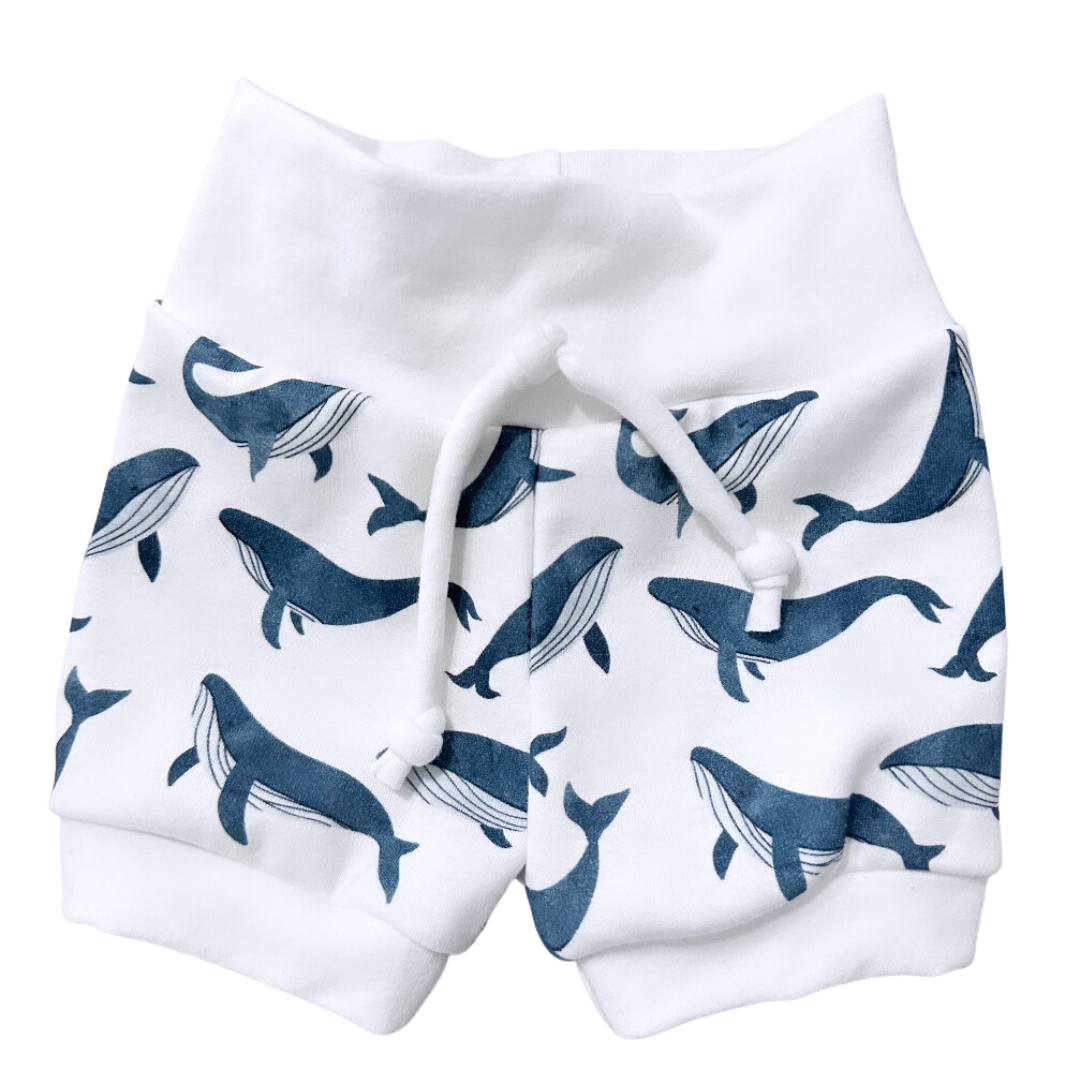 Whale shorts